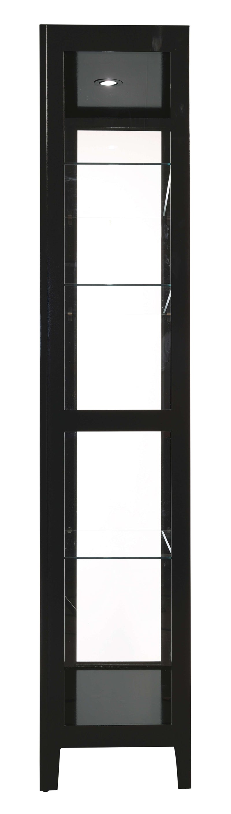 Danica III Curio